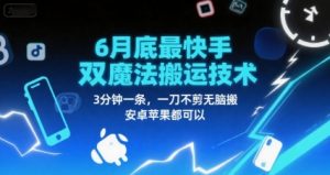 6月底最新快手双魔法搬运技术，3分钟一条，一刀不剪无脑搬，安卓苹果都可以-就爱副业网