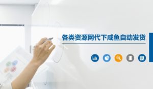 各类资源网代下咸鱼自动发货-就爱副业网
