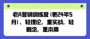 老A营销训练营(更25年6月)，轻理论，重实战，轻概念，重本质-就爱副业网