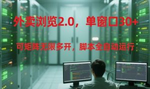 外卖浏览2.0，单窗口30+可矩阵无限多开，脚本全自动运行【揭秘】-就爱副业网