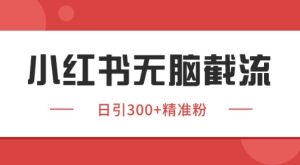 小红书截流同行客源，独家野路子获客玩法 日引200+暴力获客【揭秘】-就爱副业网