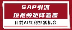 小红书某音sap赛道引流获客 自热矩阵日引200+【揭秘】-就爱副业网
