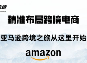 毕方电商-亚马逊全站会员课程2025年6月5日更新(价值9800元)_-就爱副业网
