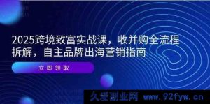 2025 跨境创富实战课程，并购全流程深度剖析，本土品牌出海营销指引-就爱副业网