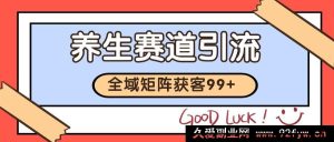 小红书某音养生领域引流获客 自热系列日引 200 余-就爱副业网