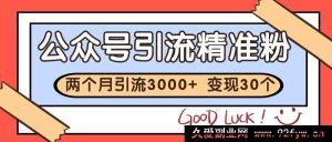 公众号精准粉丝引流之法 2 月斩获 3000 余精准粉 变现 30 万余-就爱副业网