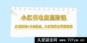 小红书电商高级课，多店布局+选品卡位，红海类目突破攻略（5 月更新）-就爱副业网