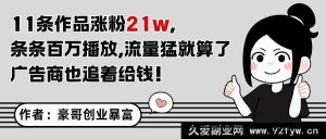 零露脸零直播！11条作品狂揽21万粉丝，条条播放量破百万，深受广告商青睐-就爱副业网