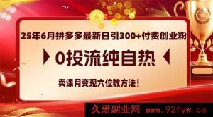 以下几个供参考，你可根据实际需求选用：
1. （14989期）25年6月拼多多零投流日引300+付费创业粉，纯自然卖课月赚六位数秘籍
2. （14989期）25年6月拼多多最新日引300+付费创业粉，无投流纯自然卖课月入六位数实操
3. （14989期）25年6月拼多多不投流日引300+付费创业粉，靠卖课月变现六位数新玩法-就爱副业网