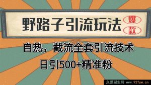 2024全新揭秘！野路子引流绝技+截流秘籍，全平台自动化打法，轻松日引2000+精准客源！-就爱副业网