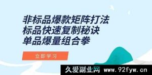 非标品爆款矩阵搭建秘籍，标品爆量复制绝招，单品热卖组合策略全解析-就爱副业网