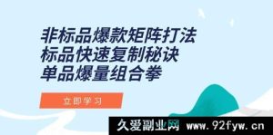 （15068期）非标品爆款打造新矩阵，标品极速复制秘籍，单品爆量全新攻略-就爱副业网