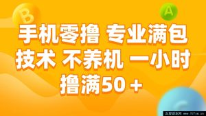 （15059期）全新手机零撸秘籍：无需养机，专业技术一小时轻松赚50+-就爱副业网