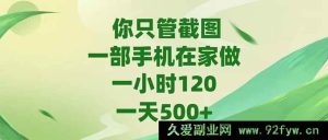 （15039期）仅用一部手机在家轻松操作，随手截图就能日赚500+，时薪可达120！-就爱副业网