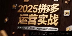 （15235期）2025拼多多运营新攻略：解锁店铺定位选品秘籍，爆款打造全程深度剖析（6月更新版）-就爱副业网