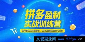《拼多多盈利秘籍：2025强付费玩法实战特训营，最新运营技巧全揭秘》-就爱副业网