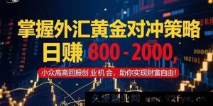 （15198期）探秘外汇黄金对冲妙策，解锁日赚千元高回报小众创业新契机，开启财富新征程-就爱副业网