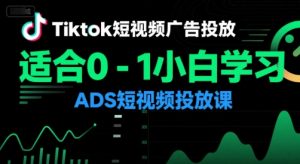 Tiktok短视频广告投放，适合0-1小白学习ADS短视频投放课-就爱副业网