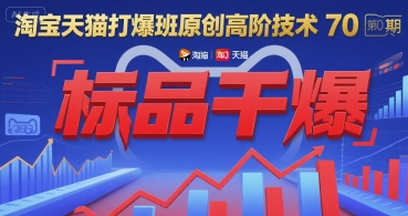 久爱副业网,网赚项目,网赚论坛博客网分享淘宝天猫打爆班原创高阶技术第70期：标品干爆