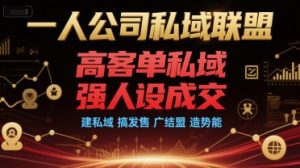 一人公司私域联盟，高客单私域，强人设成交，建私域 搞发售 广结盟 造势能-就爱副业网
