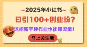 2025年小红书日引100+创业粉？这招新手抄作业也能爆流量！-就爱副业网