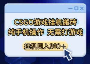 CSGO游戏挂G搬砖，小白纯手机即可操作，不用电脑打游戏，日入3张+，副业网创项目【揭秘】-就爱副业网
