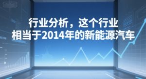 付费文章：行业分析，这个行业，相当于2014年的新能源汽车-就爱副业网
