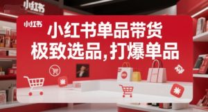 小红书单品带货，极致选品，打爆单品-就爱副业网
