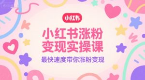 小红书涨粉变现实操课，最快速度带你涨粉变现-就爱副业网