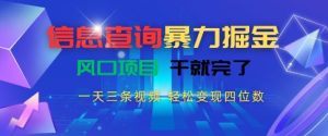 信息查询暴力掘金，一天三条视频，轻松变现四位数，风口项目干就完了【揭秘】-就爱副业网