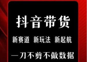 抖音短视频一刀不剪带货，不剪辑，不直播，每天发个视频，等着出单获取带货佣金-就爱副业网