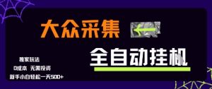 大众采集全自动玩法，新手小白轻松一天5张+，操作简单零成本【揭秘】-就爱副业网
