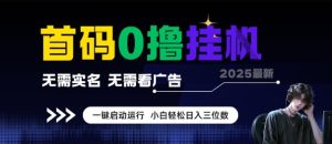 首码0撸全自动挂G项目，无需实名无需看广告，小白轻松日入3位数，多号短阵收益无上限【揭秘】-就爱副业网