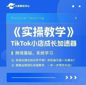 大卖家孵化中心TikTok实操课，TikTok小店成长加速器，跨境基础系统学习，一步一步带你开店-就爱副业网