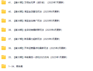 白凤电商-淘系运营21天速成班2025年7月更新(价值4999元)_-就爱副业网