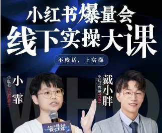 图片[1]-戴小胖-小红书爆量会6月28-30号线下课(价值4980元)_-就爱副业网