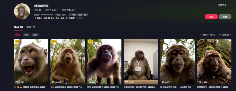 久爱副业网,网赚项目,网赚论坛博客网分享最新爆火的峨眉山猴子短视频制作教程，条条点赞10w+，谁做谁火【教程+提示词】