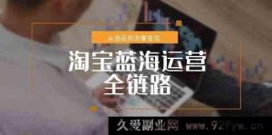 淘宝小众类目蓝海运营全流程，从选品至流量变现的突破方案-就爱副业网