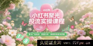 小红书聚光平台投流实战课，聚光广告推广、数据解析、实现低成本高效获客-就爱副业网