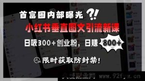（15313期）商业圈揭秘小红书全新垂直图文引流课，日引300+创业精准粉，日入800+，速来-就爱副业网