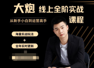 大炮电商-拼多多全阶实战课程2025年7月_-就爱副业网