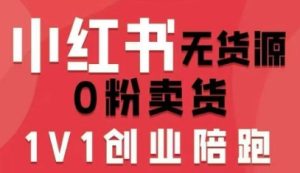 小红书无货源0粉电商课，开店准备、选品策略、笔记撰写、视频剪辑、数据分析、账号打造、资料文档-就爱副业网