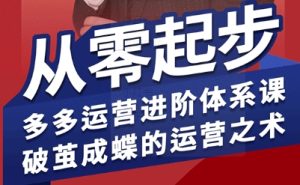 拼多多运营进阶系统课，从零起步，多多运营进阶体系课，破茧成蝶的运营之术（更新9月）-就爱副业网