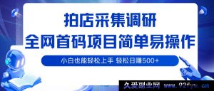 拍店数据采集调研首码项目，操作超简单，新手小白稳赚日入500+-就爱副业网