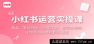 小红书运营实战课：爆款选品、笔记撰写、流量提升、账号变现全攻略，轻松在小红书赚钱-就爱副业网