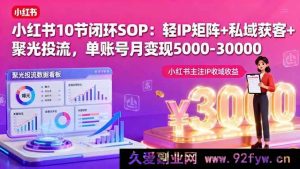 （16026期）小红书10课闭环攻略：轻IP搭建+私域引流+精准投流，单号月赚5k-3w-就爱副业网