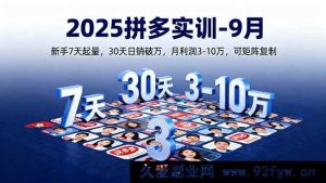 （16008期）2025拼多多实战特训9月场：小白1周起量，1月日销过万，月赚3到10万可多店复制-就爱副业网