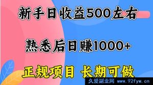 （15978期）一台电脑开启赚钱路，初期日赚300 - 500，精通后日入近1000-就爱副业网