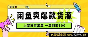 （15977期）闲鱼爆款货源玩法，日赚千元，上架速出单-就爱副业网