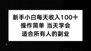 （15937期）零基础小白日赚百元+，简易操作当日上手，全民可做的副业-就爱副业网